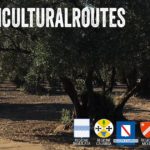 South Cultural Routes