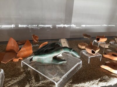 Museo civico archeologico M. Petrone