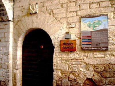Museo civico archeologico M.Petrone
