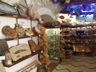 Vieste Museo malacologico