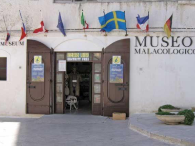 museo