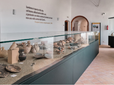 Museo civico archeologico M. Petrone