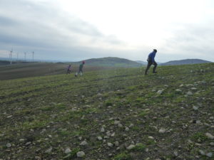 archaeological survey foggia apulia daunia