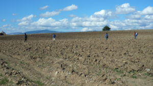 ricognizione-archeologica-campo