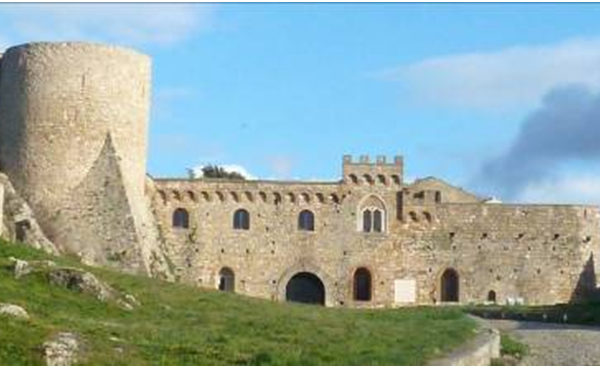 15-bovino