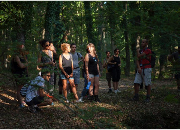 daunia land art bosco quarto gargano escursione natura trekking monte sant'angelo