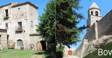 bovino visita guidata marzo